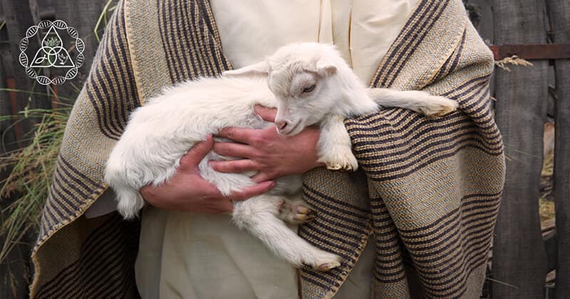 Las leyes y ofrendas